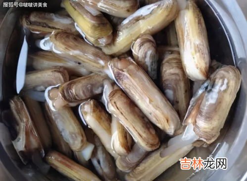 蛏子煮多长时间,蛏子煮多长时间熟 蛏子煮多久好