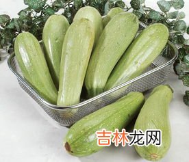 西葫芦能生吃吗,西葫芦可以生吃吗凉拌