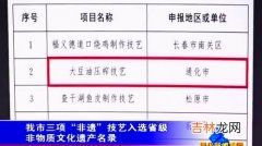 非物质文化遗产进行产业开发的原则包括,请分析利用非物质文化遗产进行文化产业开发时需坚