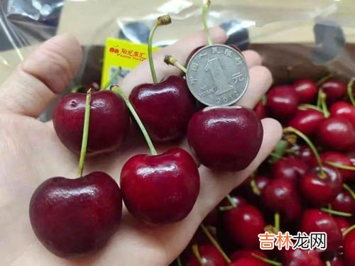 怎么看车厘子几个J,车厘子是几个j在箱子哪里看