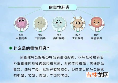 乙肝病毒携带者不能从事哪些工作,有法律规定乙肝患者不能从事什么职业么?