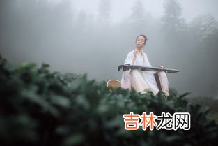 采茶纪歌词,采茶纪是哪年的