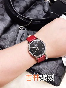 女士手表表带大全,什么品牌的女手表带不容易坏？