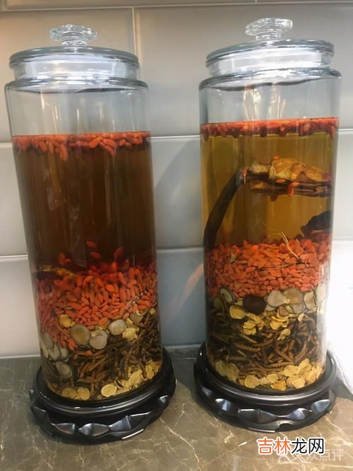 虫草一次吃几根合适,虫草的最佳吃法及用量