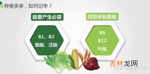 b族维生素片跟药能一起吃吗,维生素B2可以搭配其他药一起吃,加强肠胃吸收效果吗?