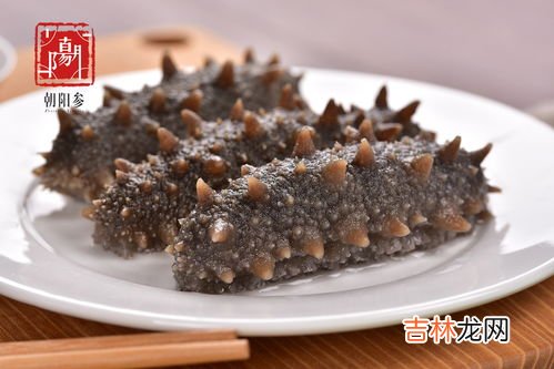 海参吃什么,海参幼苗时期吃什么长得快