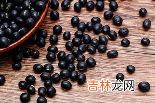 黑豆和黑芸豆的区别,黑豆和黑芸豆有什么区别
