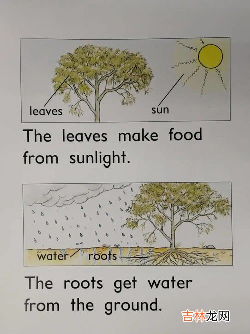 数数世上书名最长的书,世界上最长的小说有多长，书名是？