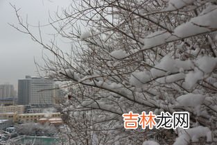 为什么祖国各地的冬天会不一样,祖国各地的冬天是不同的 这话对吗？