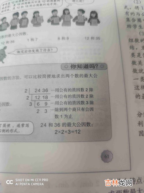 质因数是什么,质因数是什么？