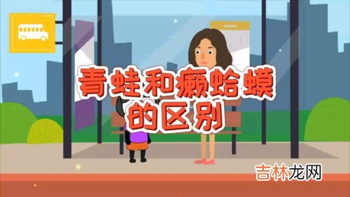蟾蜍和癞蛤蟆的区别,蟾蜍和青蛙是同一种动物吗