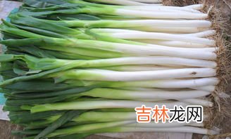 葱的功效与作用,葱的功效与作用及食用方法