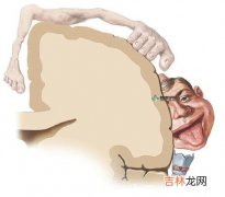 工作时候腿无力发软,腿发软无力是怎么回事?