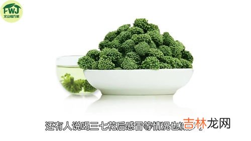 三七花泡水喝的副作用,三七花的副作用是什么 三七花泡水喝的功效与禁忌解析