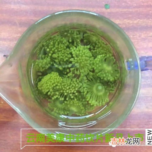 三七花泡水喝的副作用,三七花的副作用是什么 三七花泡水喝的功效与禁忌解析