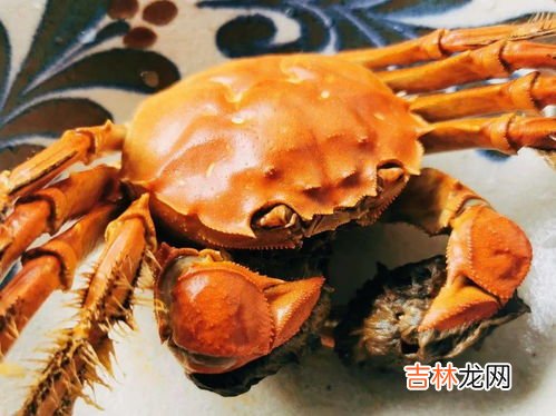 大闸蟹知名品牌排行榜,大闸蟹有什么品牌排行榜