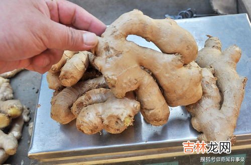 芋头怎样保存过冬不坏,芋头冬天怎么放啊