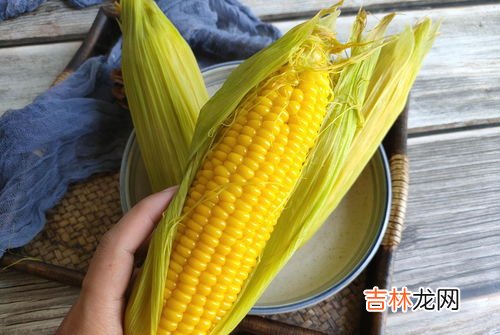 生玉米放冷藏还是冷冻,玉米保存冷藏还是冷冻