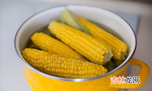 生玉米放冷藏还是冷冻,玉米保存冷藏还是冷冻