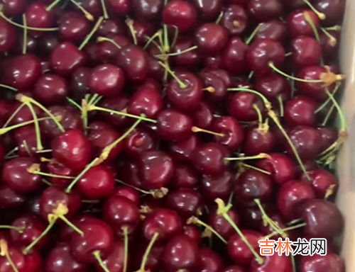 车厘子最多几个j,车厘子几个J分别代表什么意思 车厘子JD是什么等级
