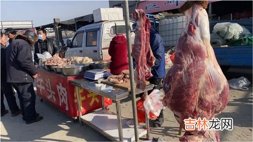 一个牛头多少斤,900斤的牛莽子脑袋能有多少斤