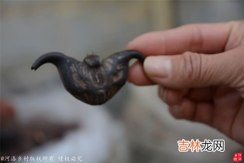 一个牛头多少斤,900斤的牛莽子脑袋能有多少斤