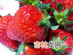 草莓是怎么种出来的,草莓怎么种