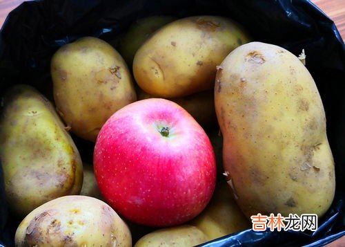 大量苹果冬季储存方法,怎样把大量苹果保鲜和储存时间更长