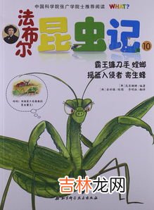 昆虫记螳螂的外形和生活特征,螳螂的特点和生活特征