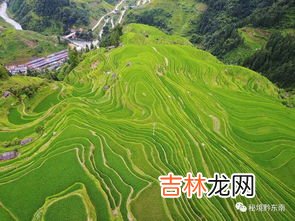 梯田在哪个地区,梯田主要分布在我国哪个高原