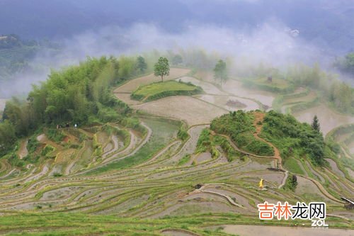 梯田在哪个地区,梯田主要分布在我国哪个高原