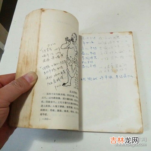四季养生法早知道早有益处,四季养生之道是什么？希望能从食物和起居规律告诉我。请尽量简明扼要