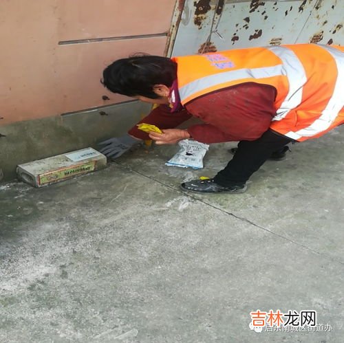 老鼠冬天会出来活动吗,老鼠冬天会出来活动吗?