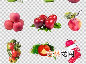 圣诞果是什么水果,圣诞节应该买几种水果,都有哪些,各代表什么意思?