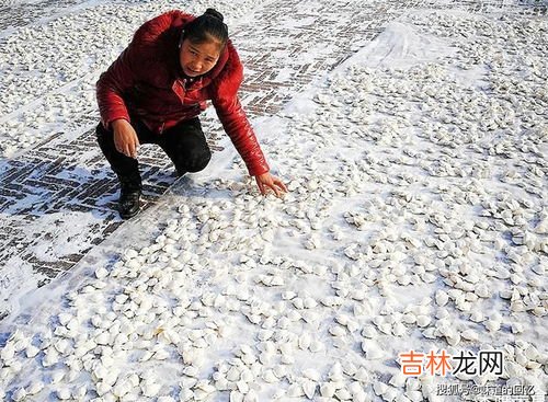 冷冻饺子为什么这么便宜,超市里的“散装速冻饺子”，为啥卖得那么便宜呢？