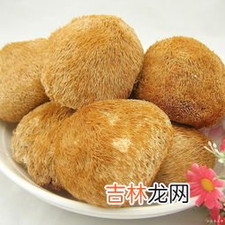 猴头菇的功效有哪些,猴头菇的作用与功功效