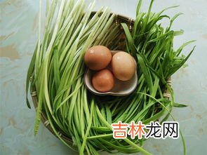 蒜苗怎么摘,盆栽蒜苗用扒皮吗？