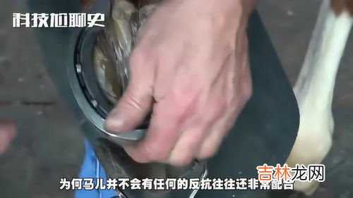 马蹄铁怎么钉上去的,古时如何为马钉上马蹄铁？