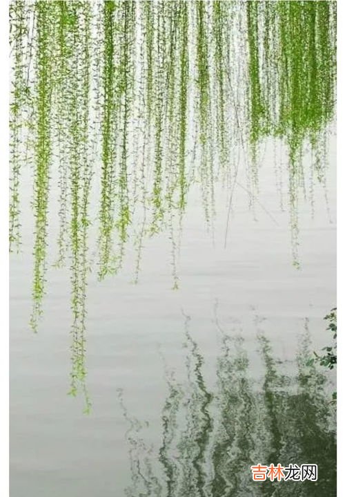 故人西辞黄鹤楼故人的是什么意思,故人西辞黄鹤楼的故人是什么意思