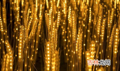 世界上最长的鞭炮,鞭炮8888万头有多长