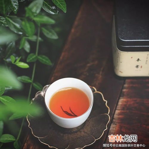 茶百道什么最好喝,茶百道什么最好喝