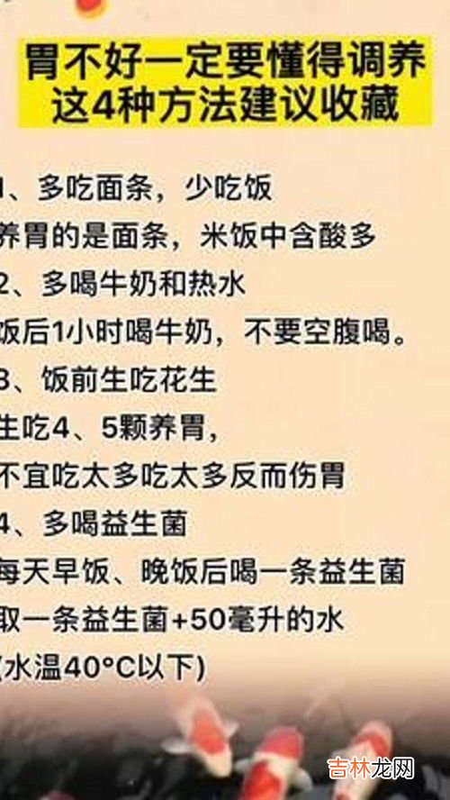 肠胃不好吃什么可以调理,胃不好吃什么食物可以调理