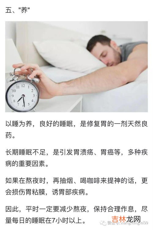 肠胃不好吃什么可以调理,胃不好吃什么食物可以调理