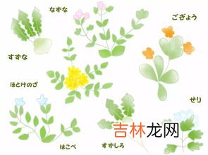 七草粥是哪七草,健康粥的七草粥