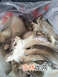 牛肉干长白毛了还能吃吗,牛肉干为什么会发白毛 不能食用