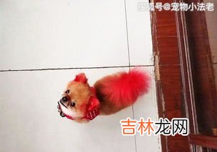 手上染上染发剂怎么去除,手上沾上染发剂如何清洗掉 清洗掉染发剂的方法