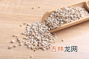 薏仁茯湿膏的功效和作用,伏湿膏的功效是什么