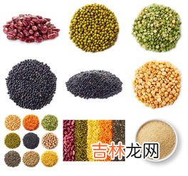 粗粮虽好这些人不适合多吃,粗粮虽好这些人不适合多吃