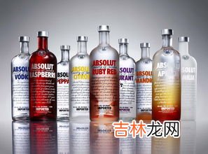 伏特加是什么酒,伏特加属于什么酒