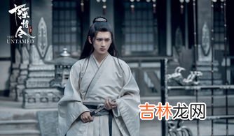 陈情令导演是聂怀桑吗,陈情令：聂怀桑为什么被称为聂导？他都做过什么事？